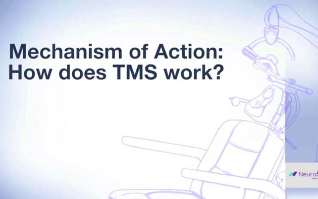 Mechanism of Action: How does TMS work?